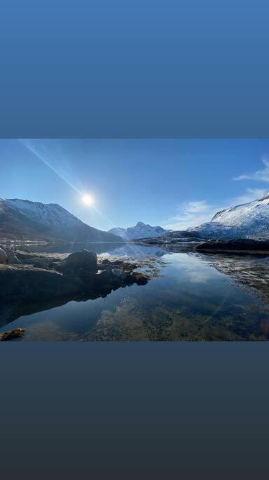 Sjarmerende Anneks I Sigerfjord, Vesteralen Sortland Extérieur photo
