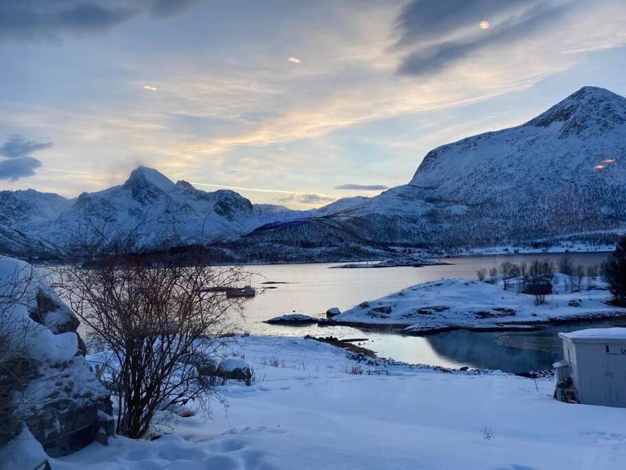 Sjarmerende Anneks I Sigerfjord, Vesteralen Sortland Extérieur photo