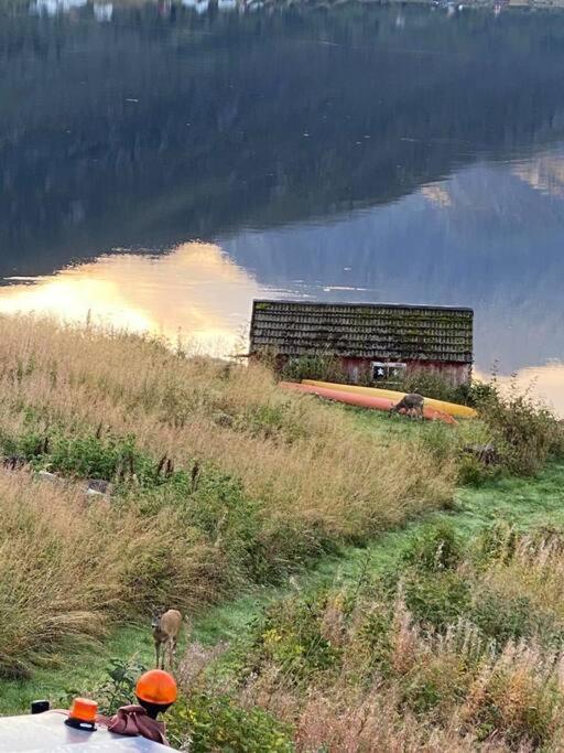 Sjarmerende Anneks I Sigerfjord, Vesteralen Sortland Extérieur photo
